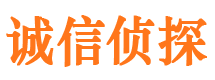 顺庆市私家侦探